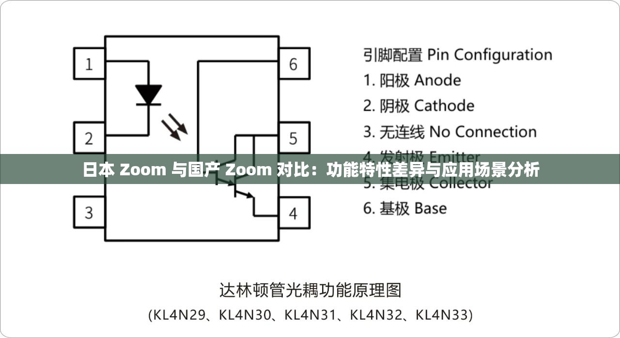 日本 Zoom 与国产 Zoom 对比：功能特性差异与应用场景分析