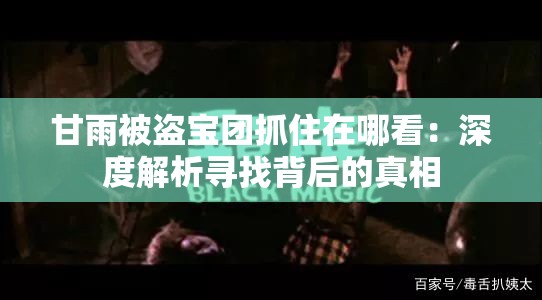 甘雨被盗宝团抓住在哪看：深度解析寻找背后的真相