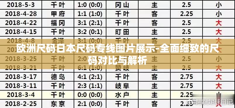 欧洲尺码日本尺码专线图片展示-全面细致的尺码对比与解析