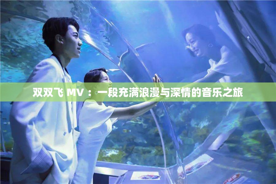 双双飞 MV ：一段充满浪漫与深情的音乐之旅