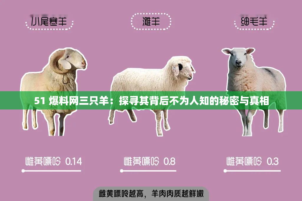 51 爆料网三只羊：探寻其背后不为人知的秘密与真相