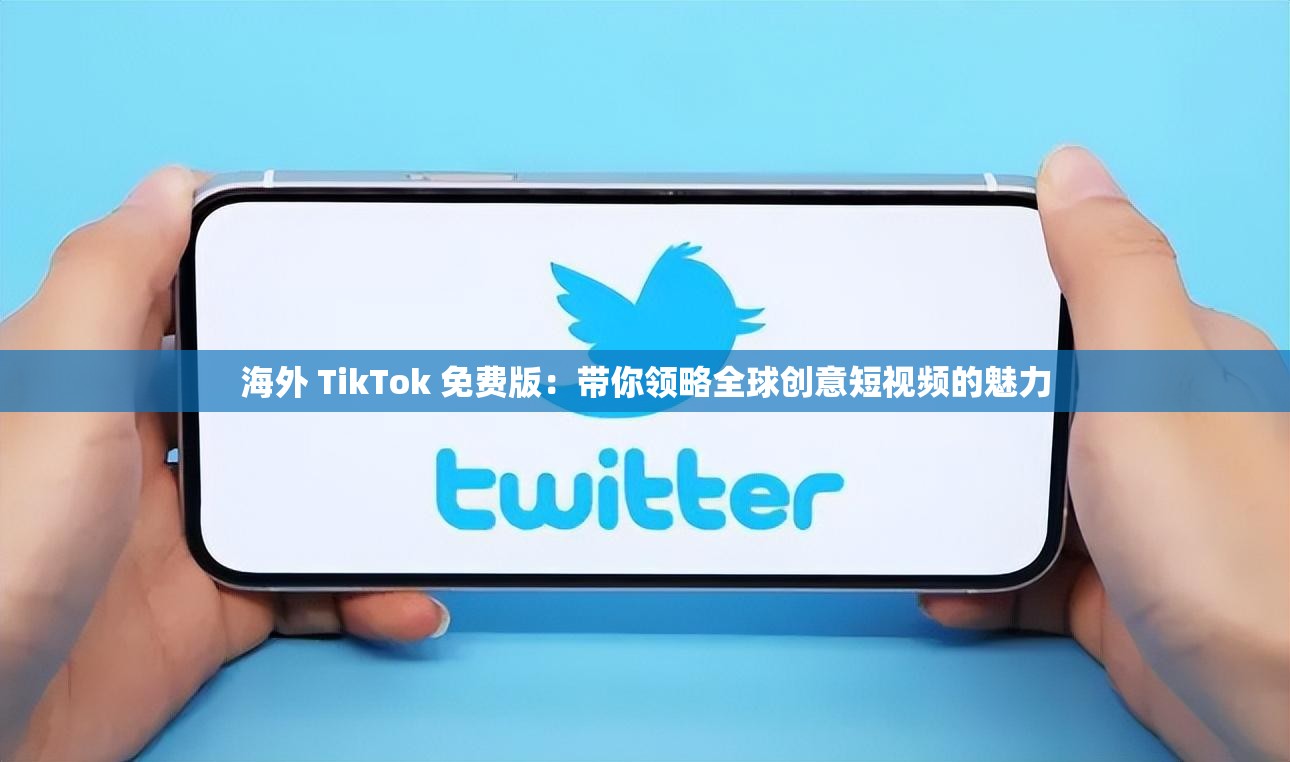 海外 TikTok 免费版：带你领略全球创意短视频的魅力