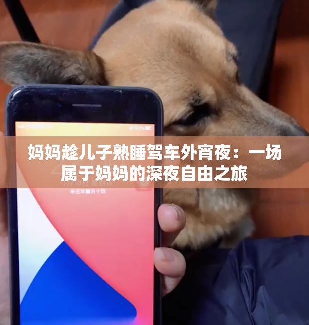 妈妈趁儿子熟睡驾车外宵夜：一场属于妈妈的深夜自由之旅