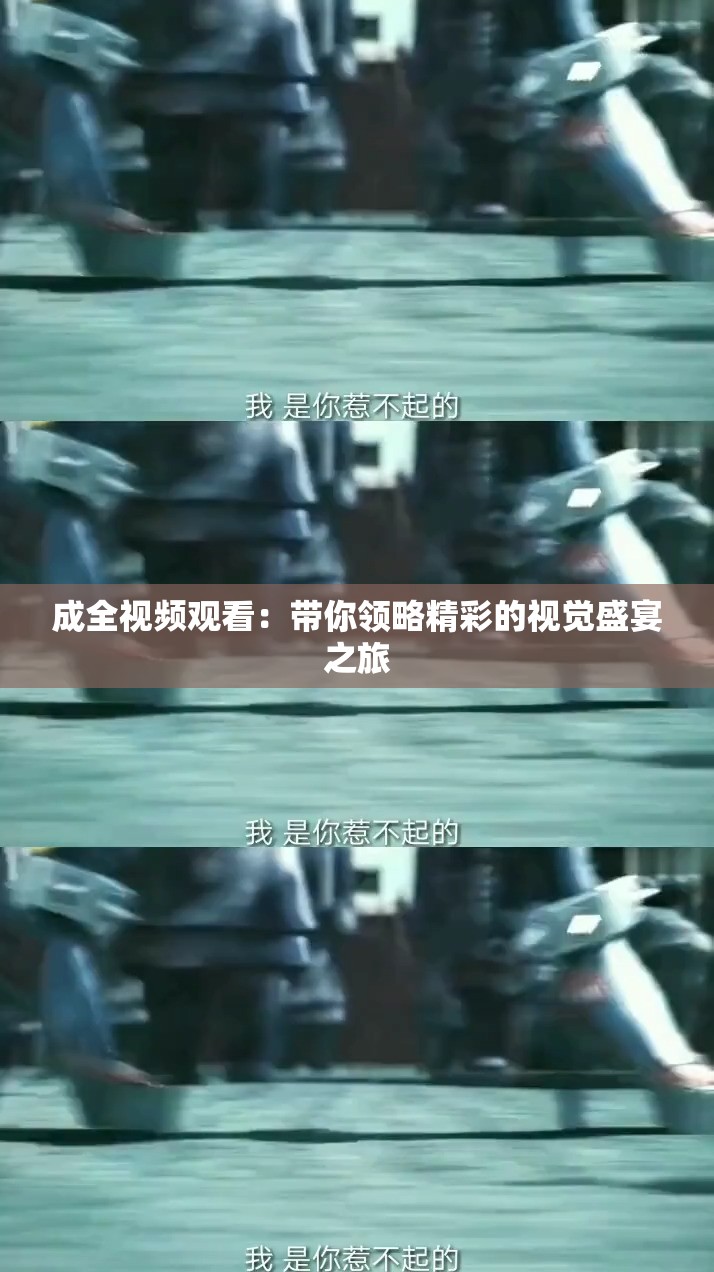 成全视频观看：带你领略精彩的视觉盛宴之旅