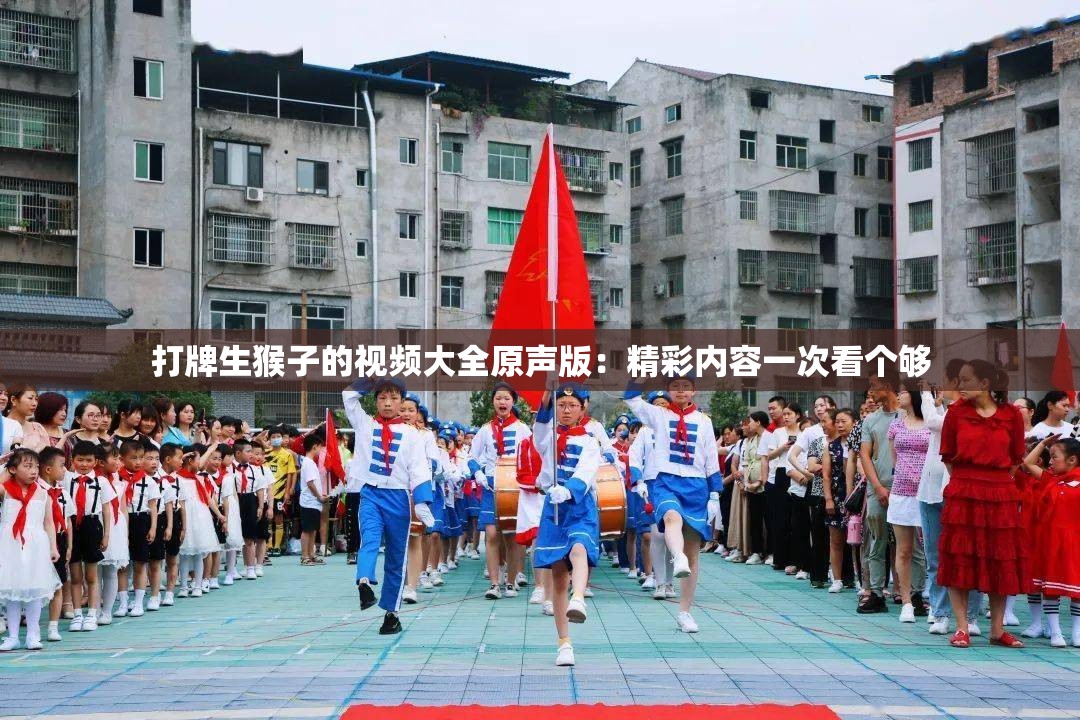 打牌生猴子的视频大全原声版：精彩内容一次看个够