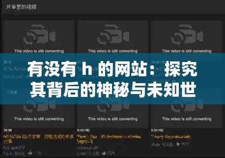 有没有 h 的网站：探究其背后的神秘与未知世界