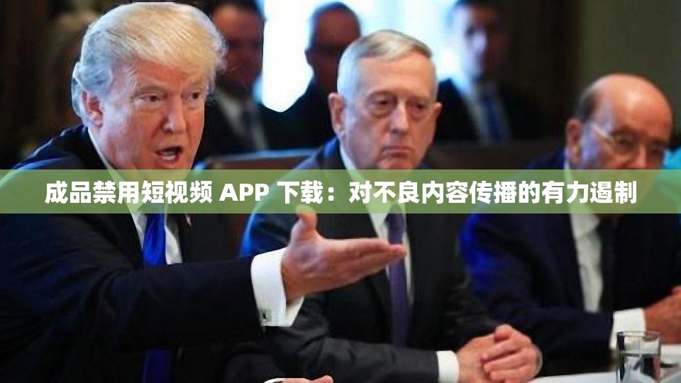 成品禁用短视频 APP 下载：对不良内容传播的有力遏制