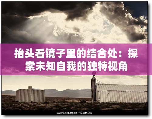 抬头看镜子里的结合处：探索未知自我的独特视角