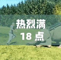 热烈满 18 点此安全转入 2024 大象：开启全新精彩篇章