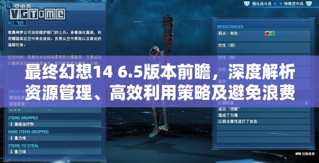 最终幻想14 6.5版本前瞻，深度解析资源管理、高效利用策略及避免浪费技巧