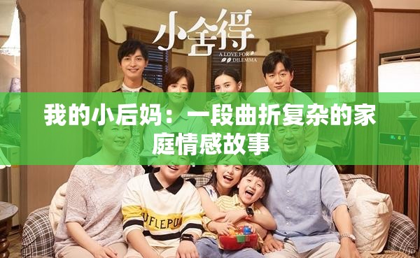 我的小后妈：一段曲折复杂的家庭情感故事