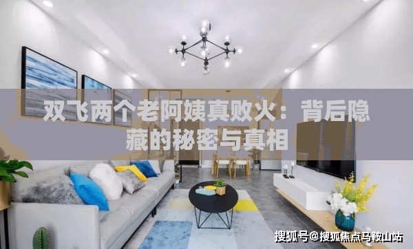 双飞两个老阿姨真败火：背后隐藏的秘密与真相