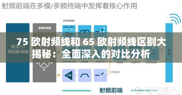 75 欧射频线和 65 欧射频线区别大揭秘：全面深入的对比分析