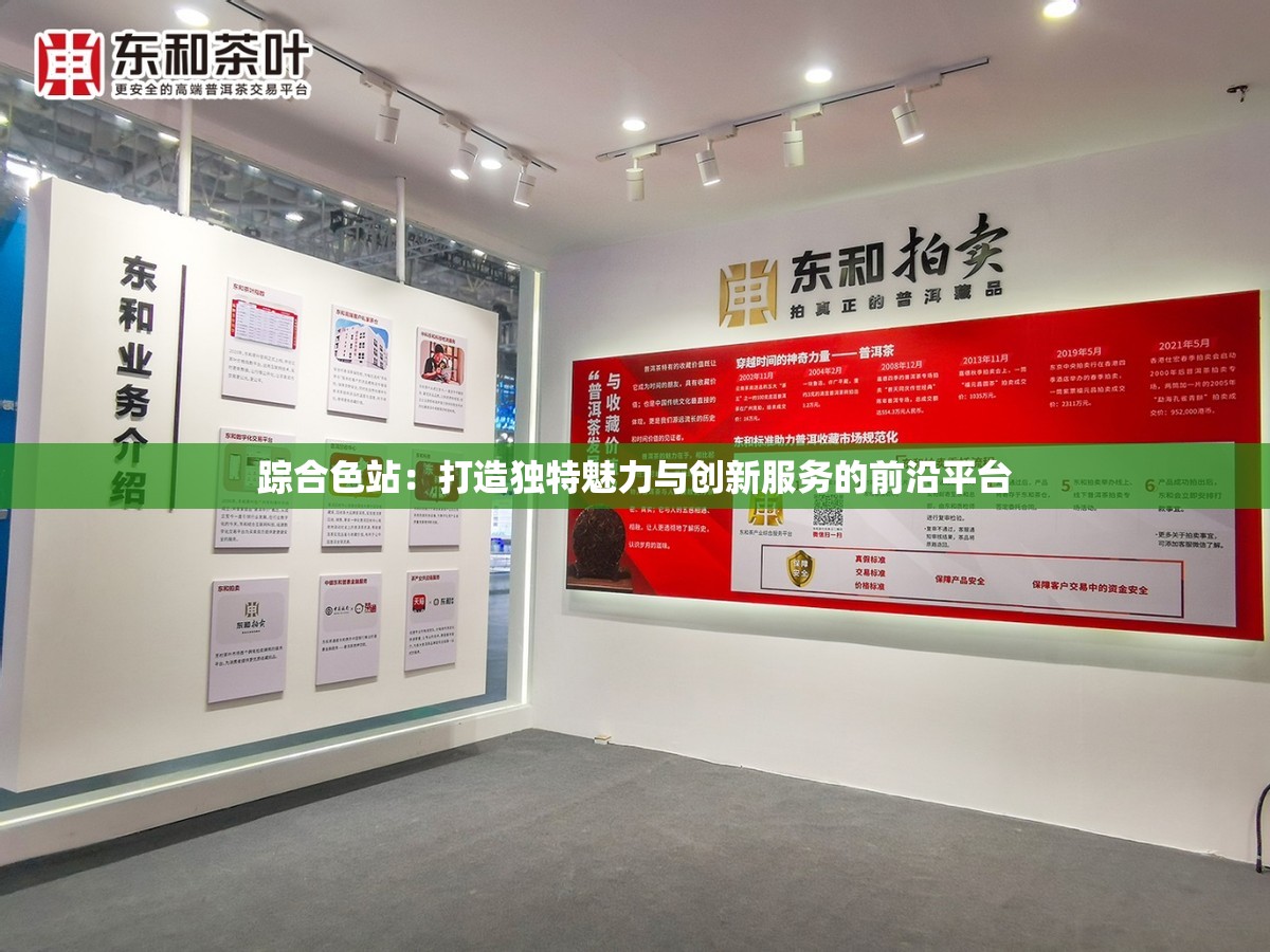 踪合色站：打造独特魅力与创新服务的前沿平台