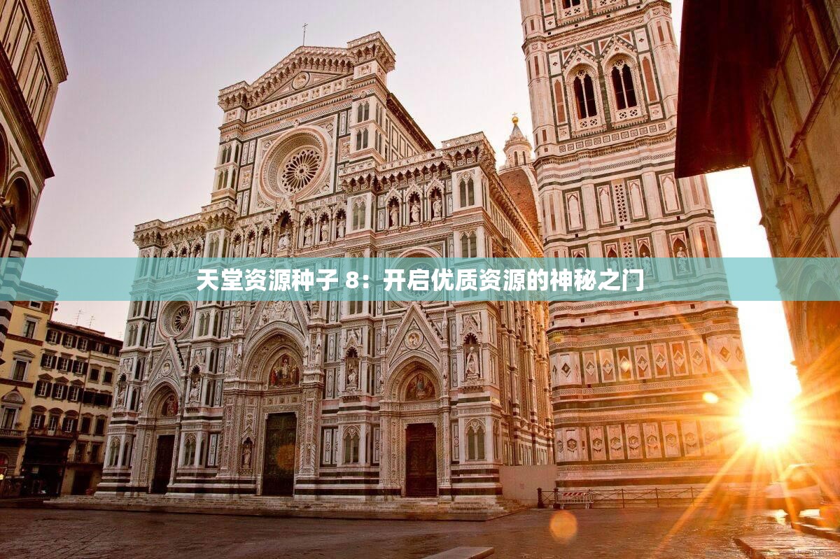 天堂资源种子 8：开启优质资源的神秘之门