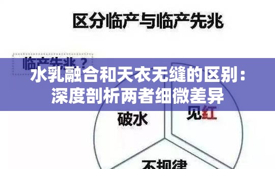 水乳融合和天衣无缝的区别：深度剖析两者细微差异