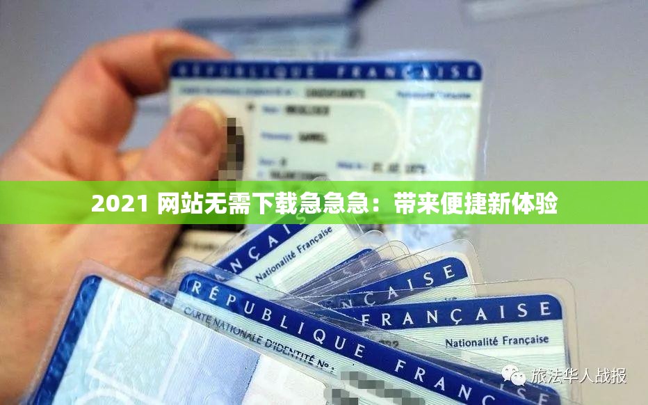 2021 网站无需下载急急急：带来便捷新体验