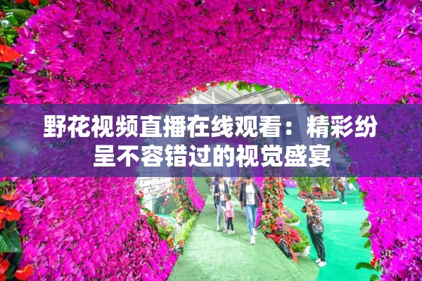 野花视频直播在线观看：精彩纷呈不容错过的视觉盛宴