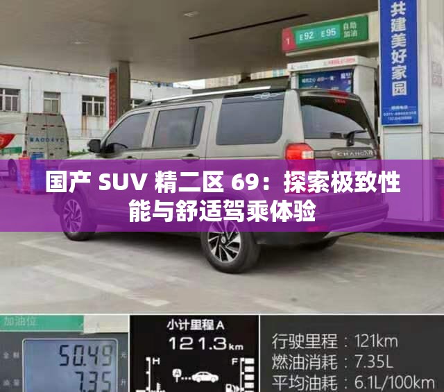 国产 SUV 精二区 69：探索极致性能与舒适驾乘体验