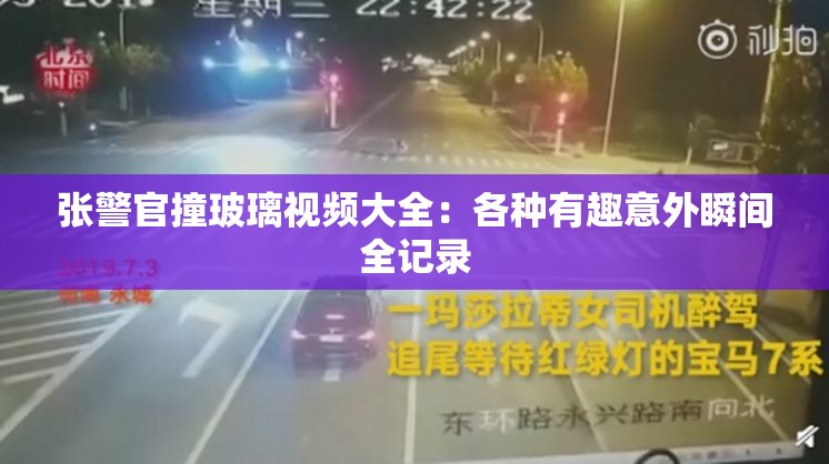 张警官撞玻璃视频大全：各种有趣意外瞬间全记录