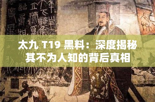 太九 T19 黑料：深度揭秘其不为人知的背后真相