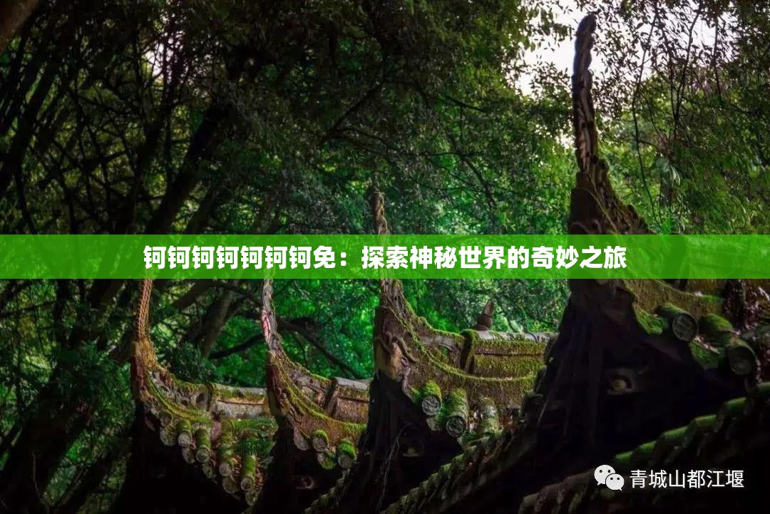 钶钶钶钶钶钶钶免：探索神秘世界的奇妙之旅