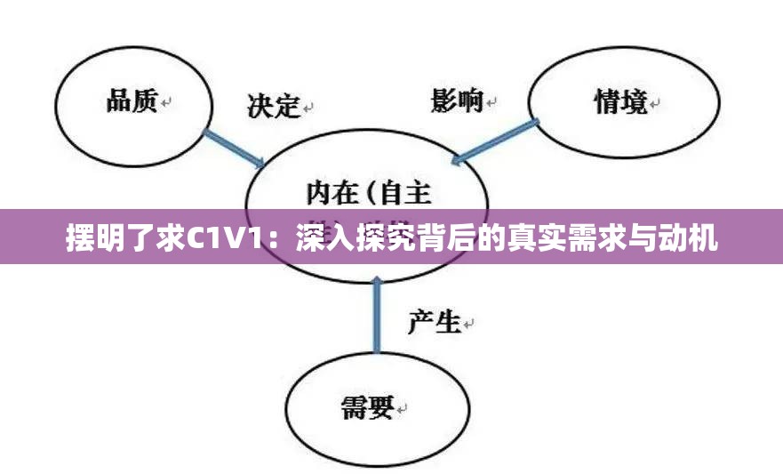 摆明了求C1V1：深入探究背后的真实需求与动机