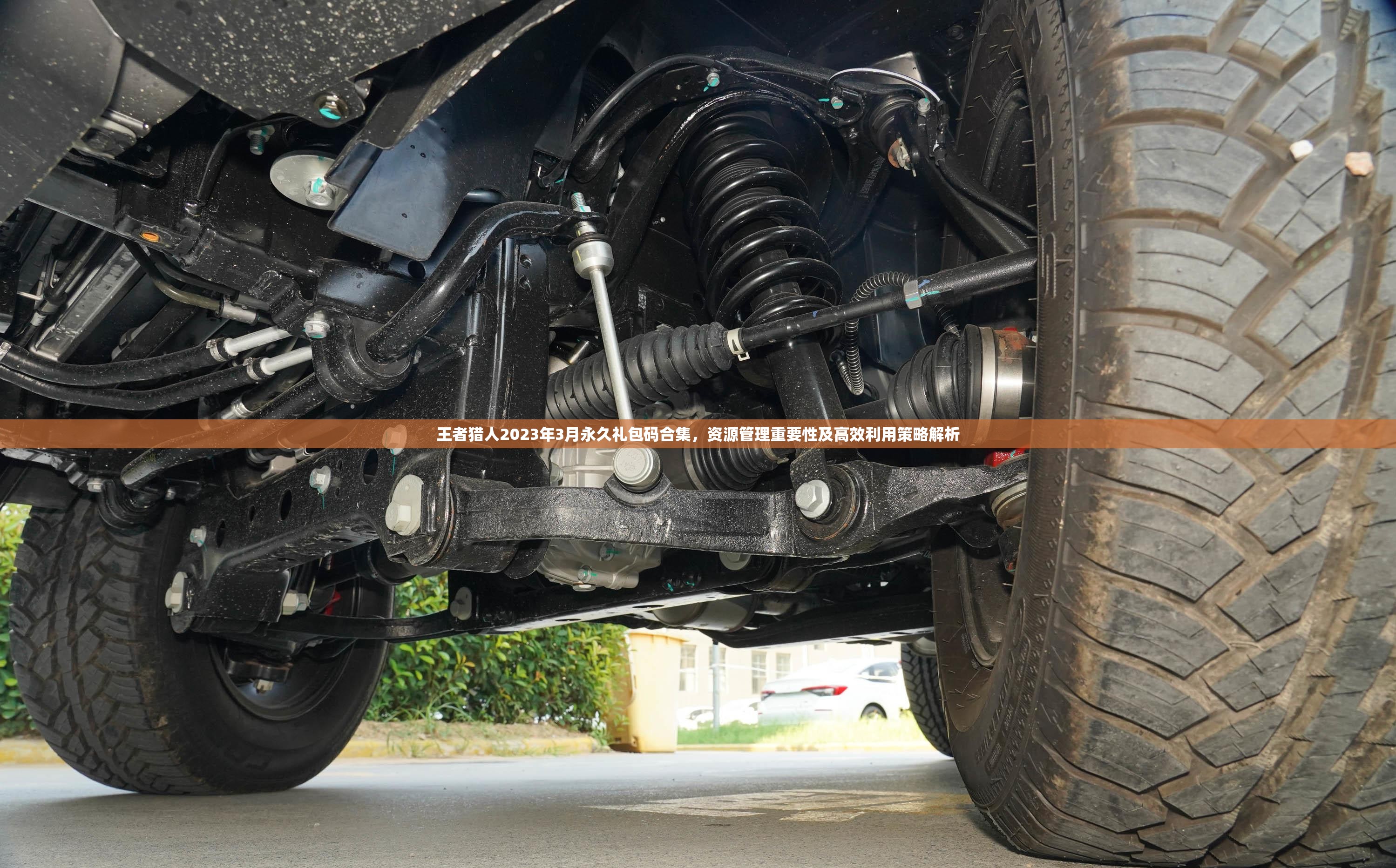 王者猎人2023年3月永久礼包码合集，资源管理重要性及高效利用策略解析