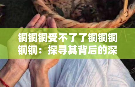 铜铜铜受不了了铜铜铜铜铜：探寻其背后的深层原因