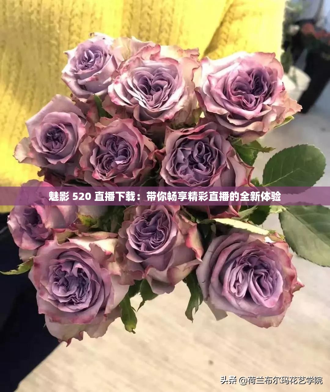 魅影 520 直播下载：带你畅享精彩直播的全新体验