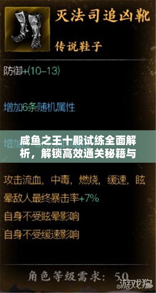 咸鱼之王十殿试练全面解析，解锁高效通关秘籍与策略指南