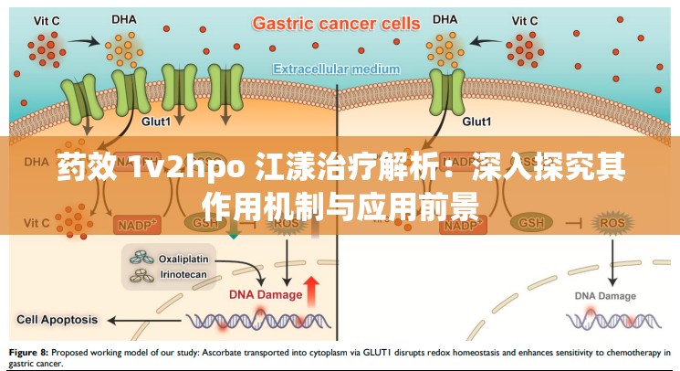 药效 1v2hpo 江漾治疗解析：深入探究其作用机制与应用前景