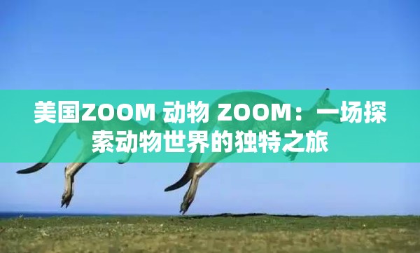 美国ZOOM 动物 ZOOM：一场探索动物世界的独特之旅