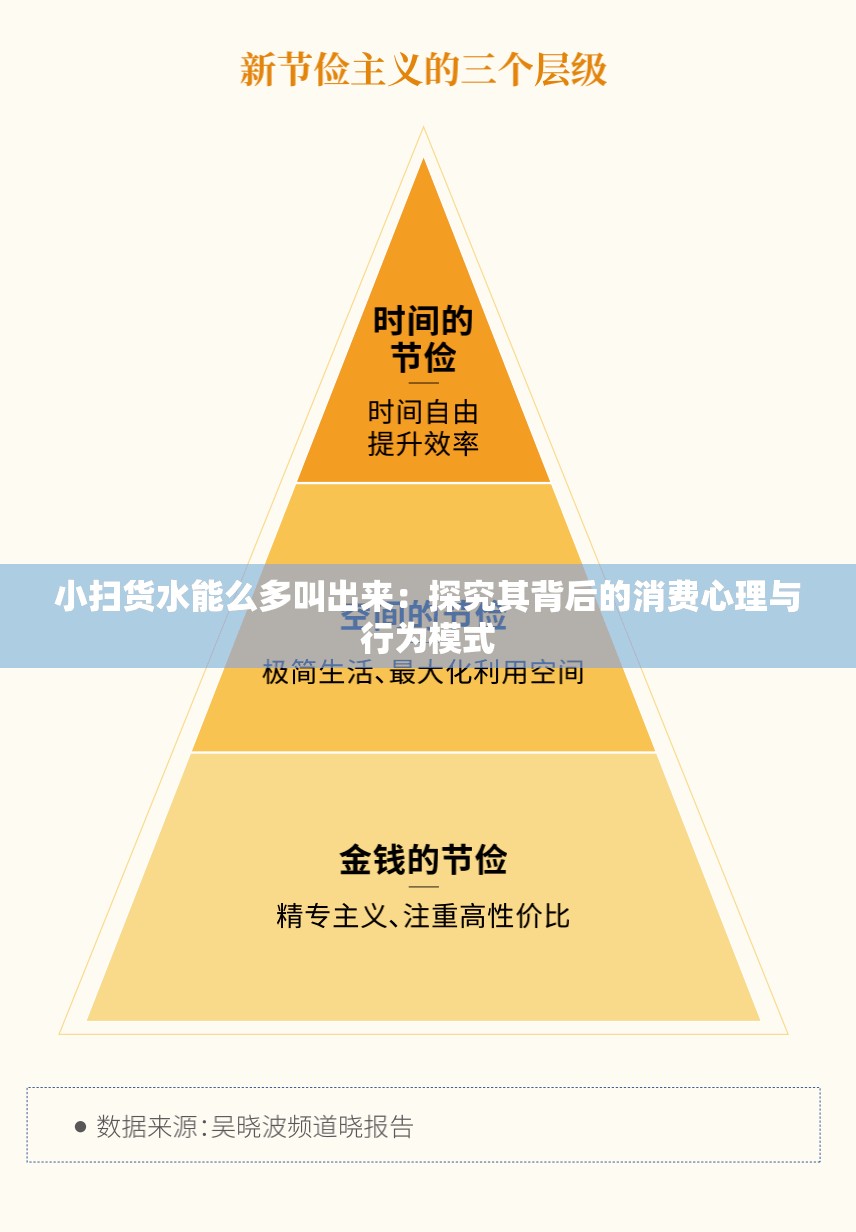 小扫货水能么多叫出来：探究其背后的消费心理与行为模式
