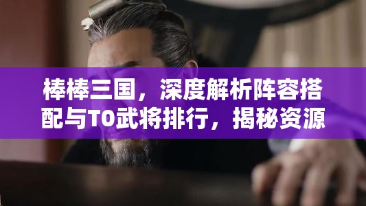 棒棒三国，深度解析阵容搭配与T0武将排行，揭秘资源管理高效利用策略以最大化价值
