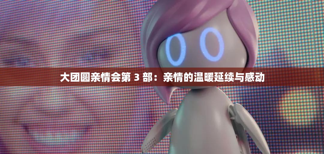 大团圆亲情会第 3 部：亲情的温暖延续与感动