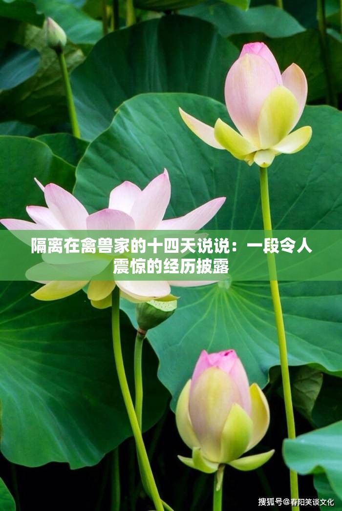 隔离在禽兽家的十四天说说：一段令人震惊的经历披露