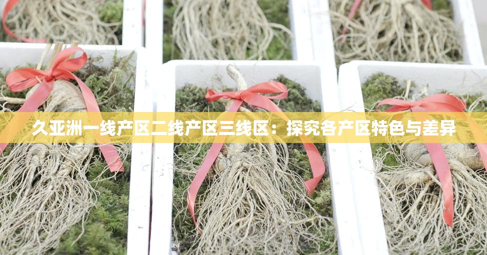 久亚洲一线产区二线产区三线区：探究各产区特色与差异