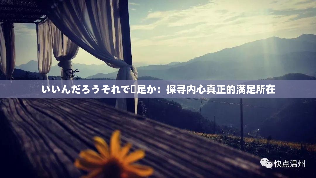 いいんだろうそれで満足か：探寻内心真正的满足所在