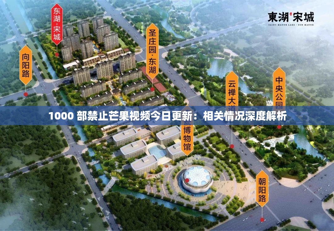 1000 部禁止芒果视频今日更新：相关情况深度解析
