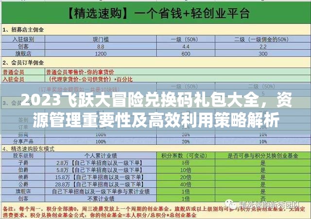 2023飞跃大冒险兑换码礼包大全，资源管理重要性及高效利用策略解析