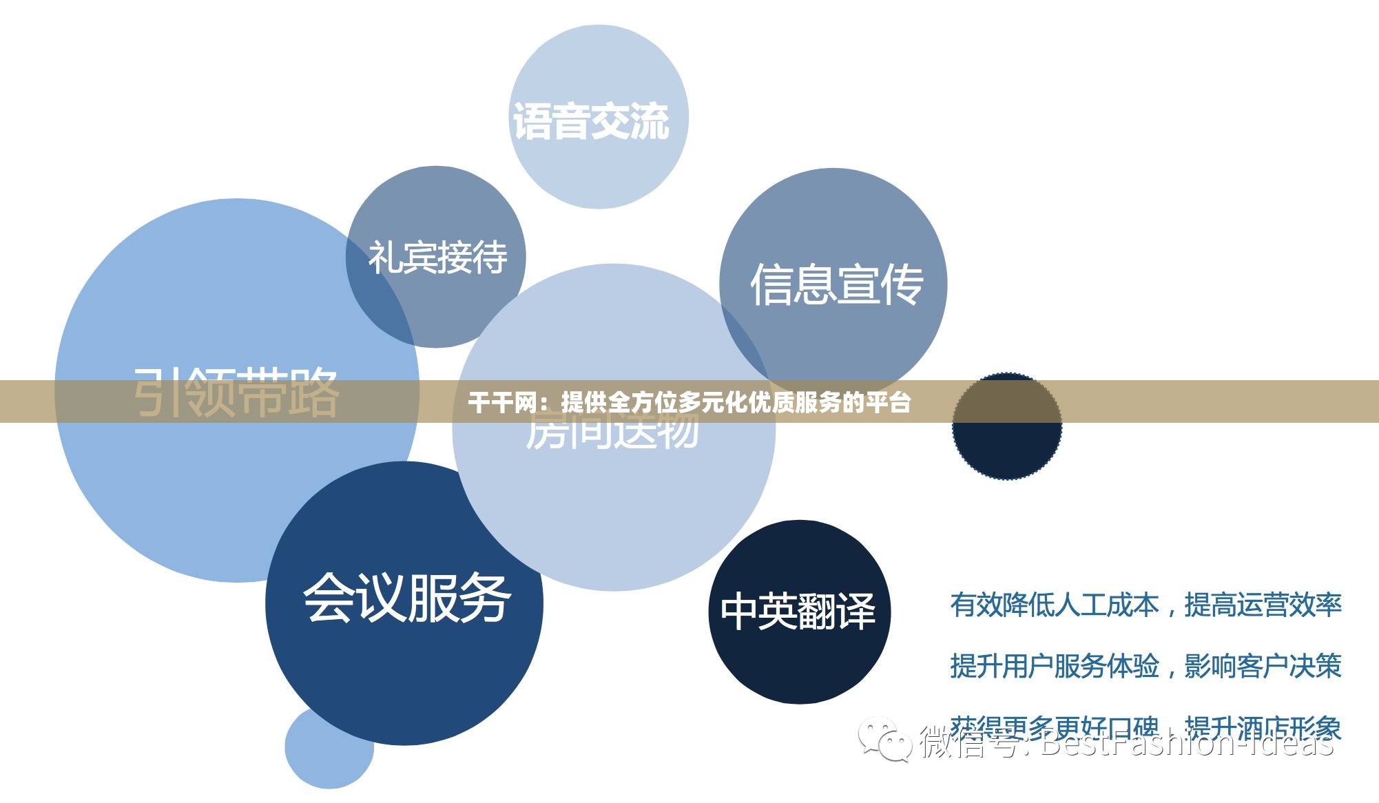 干干网：提供全方位多元化优质服务的平台