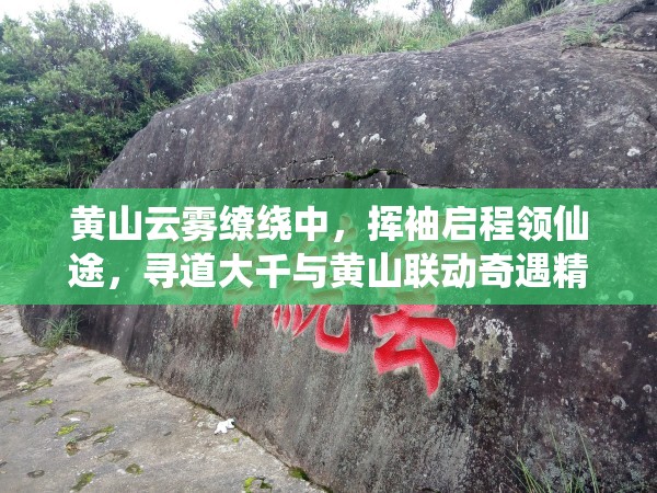 黄山云雾缭绕中，挥袖启程领仙途，寻道大千与黄山联动奇遇精彩纪实