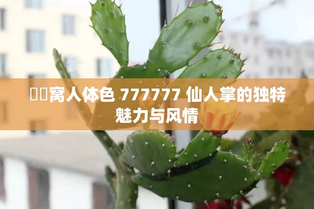 妺妺窝人体色 777777 仙人掌的独特魅力与风情