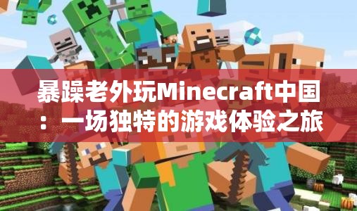 暴躁老外玩Minecraft中国：一场独特的游戏体验之旅