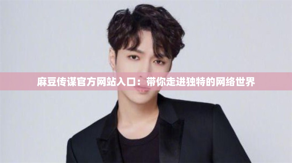 麻豆传谋官方网站入口：带你走进独特的网络世界