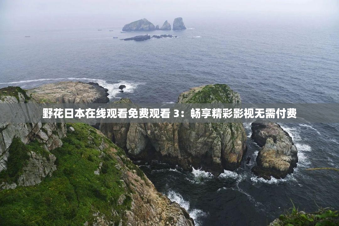 野花日本在线观看免费观看 3：畅享精彩影视无需付费