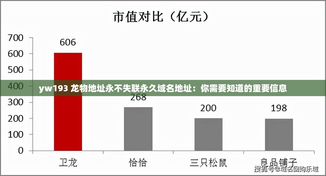 yw193 龙物地址永不失联永久域名地址：你需要知道的重要信息