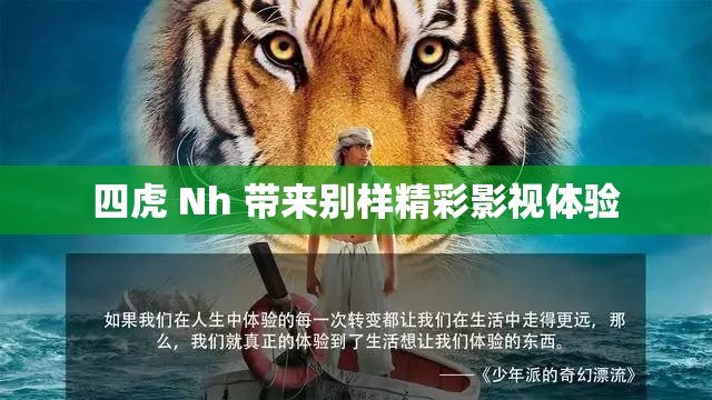 四虎 Nh 带来别样精彩影视体验