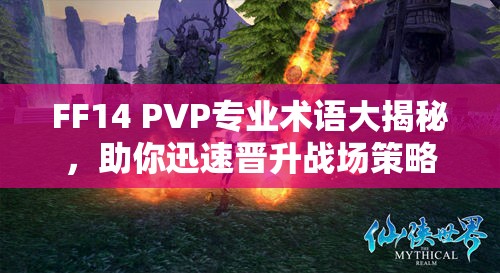 FF14 PVP专业术语大揭秘，助你迅速晋升战场策略高手老鸟